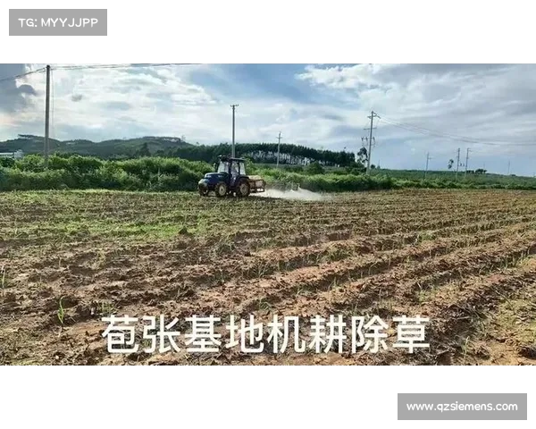 广西平果队务黄浩因不当行为禁入体育场两场并罚款两万元 广西平果队务黄浩因不当行为禁入体育场两场并罚款两万元
